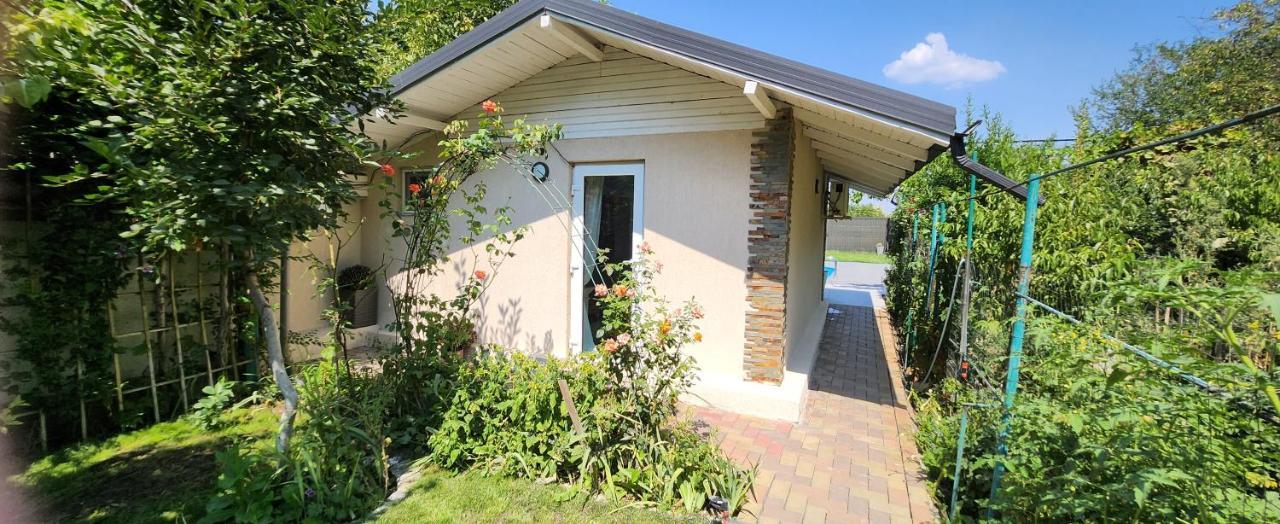Morii Lake Pool Villa 부쿠레슈티 외부 사진