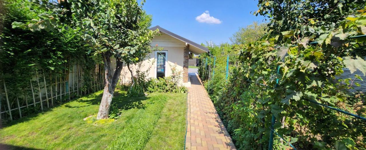 Morii Lake Pool Villa 부쿠레슈티 외부 사진